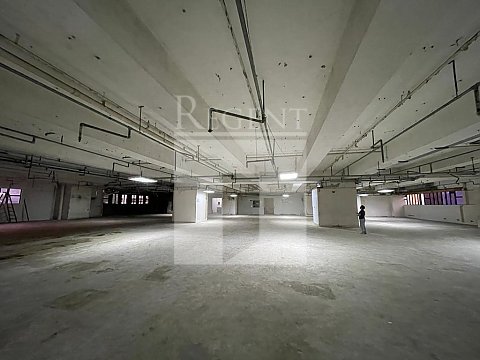 Wyler Centre 2