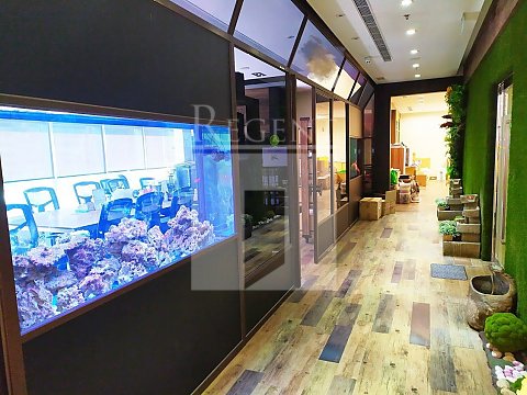King Palace Plaza