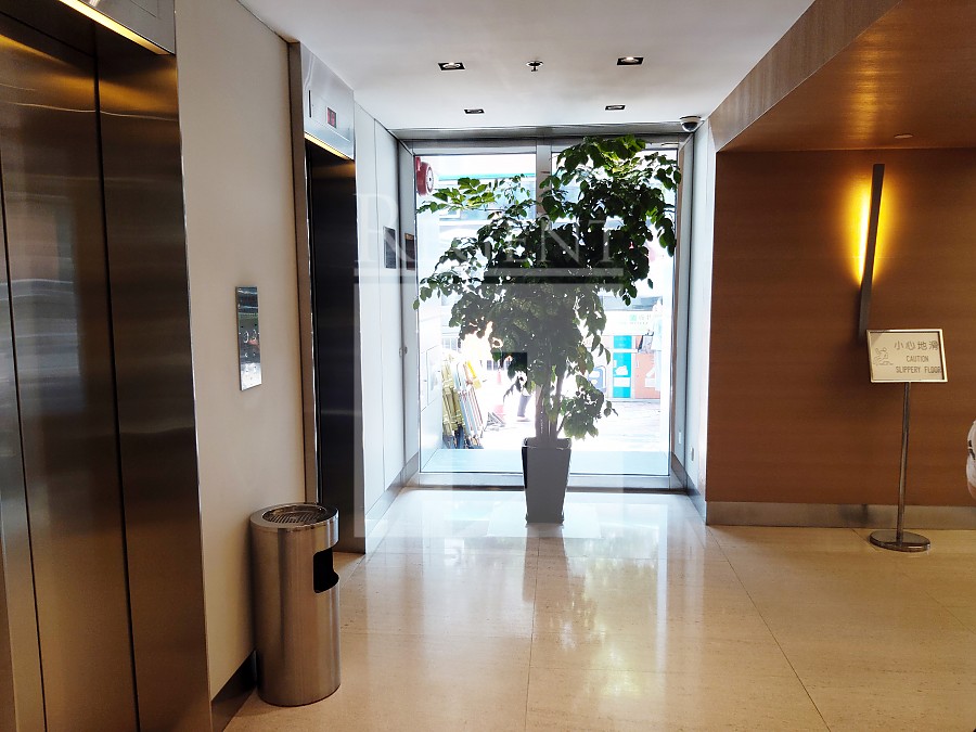 King's Road 101 (英皇道101號)