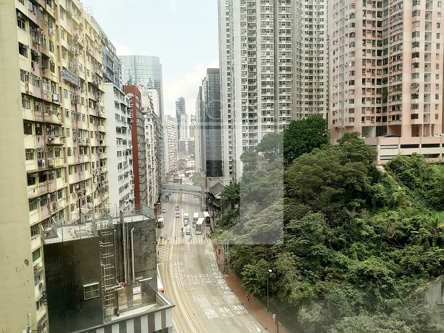 King's Road 101 (英皇道101號)